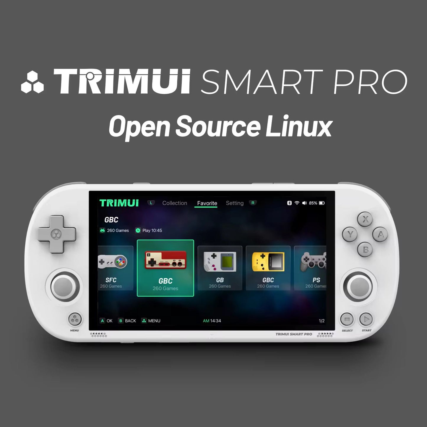 Trimui Smart Pro
